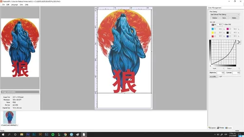 AcroRIP 9.0.3 12 02 1