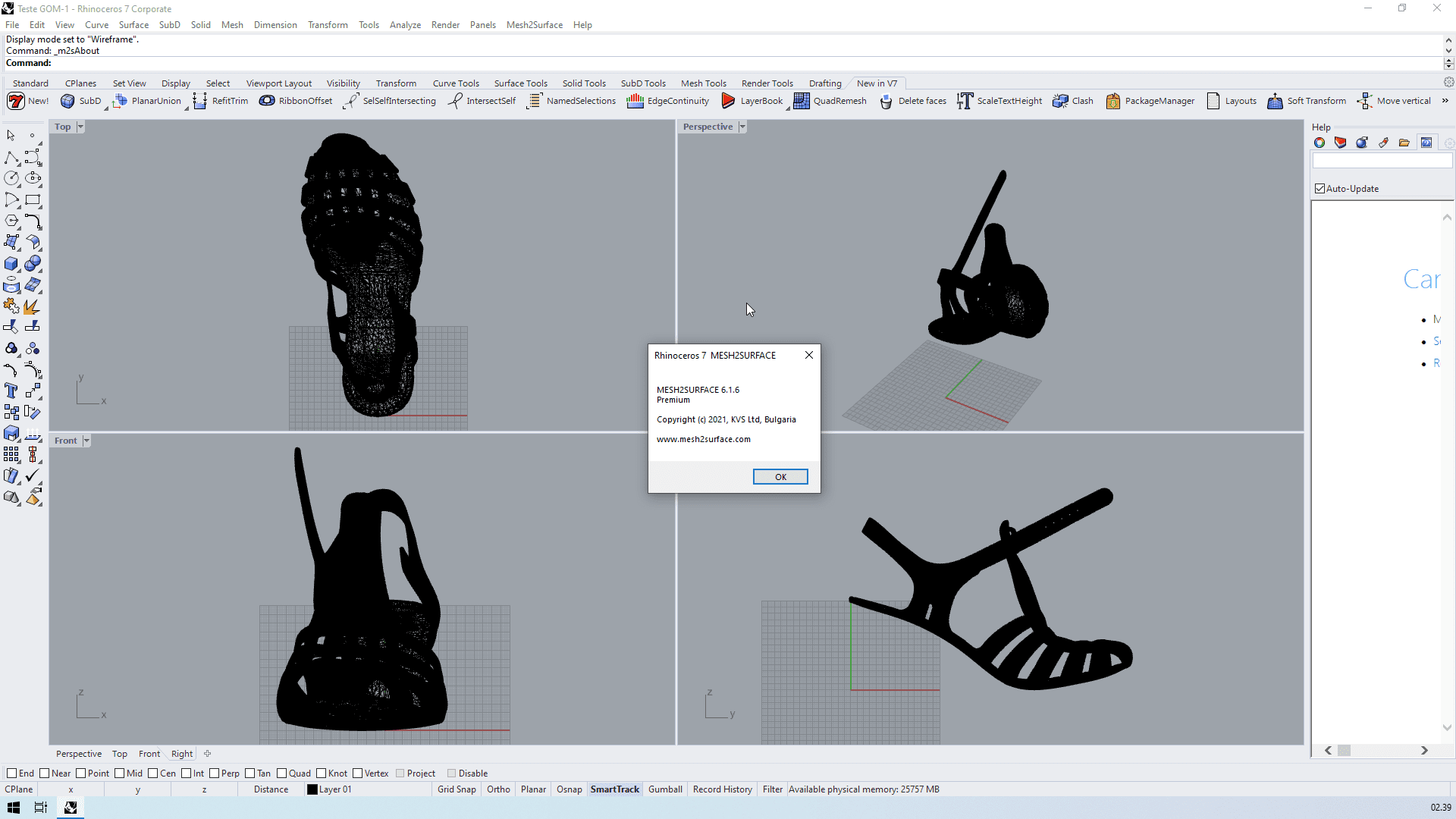 KVS Mesh2Surface 6.1.6 x64 for Rhino 6-7 6 04 1
